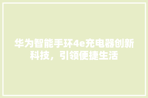 华为智能手环4e充电器创新科技，引领便捷生活