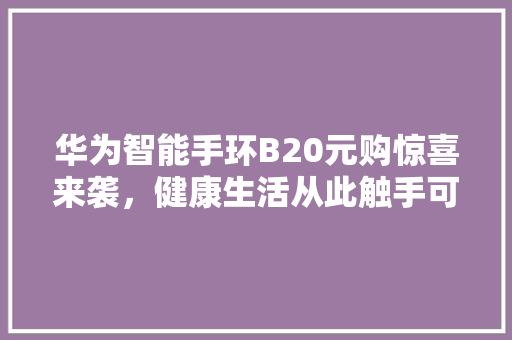 华为智能手环B20元购惊喜来袭，健康生活从此触手可及  第1张