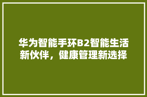 华为智能手环B2智能生活新伙伴，健康管理新选择  第1张