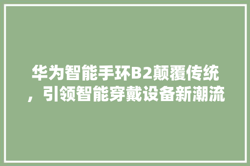 华为智能手环B2颠覆传统，引领智能穿戴设备新潮流  第1张