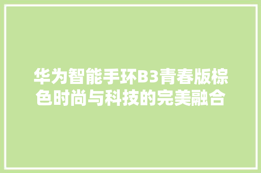华为智能手环B3青春版棕色时尚与科技的完美融合