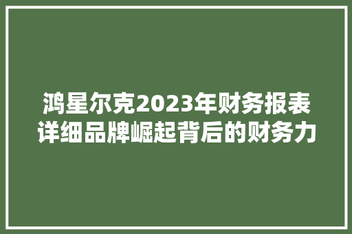 鸿星尔克2023年财务报表详细品牌崛起背后的财务力量