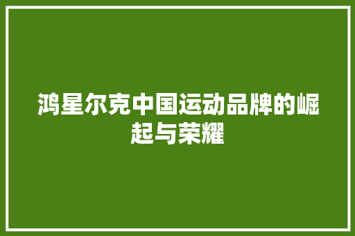 鸿星尔克中国运动品牌的崛起与荣耀