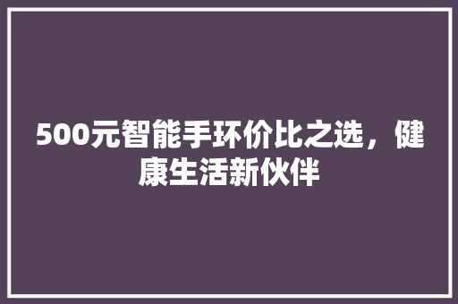 500元智能手环价比之选，健康生活新伙伴