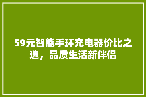 59元智能手环充电器价比之选，品质生活新伴侣