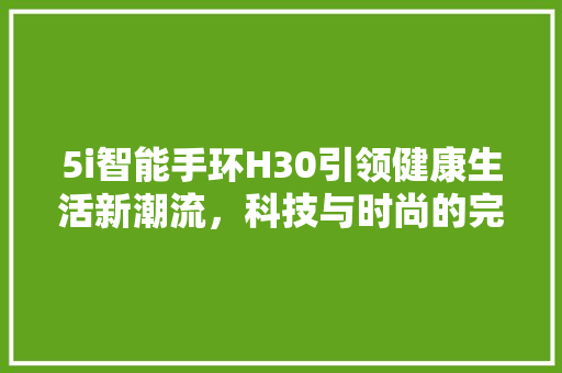 5i智能手环H30引领健康生活新潮流，科技与时尚的完美结合  第1张