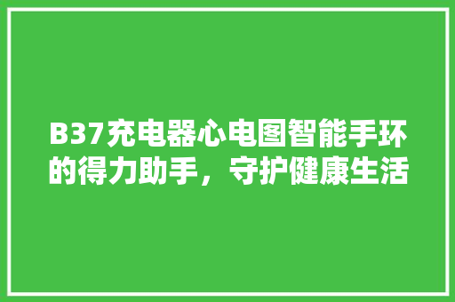 B37充电器心电图智能手环的得力助手，守护健康生活新篇章  第1张