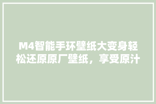 M4智能手环壁纸大变身轻松还原原厂壁纸，享受原汁原味体验