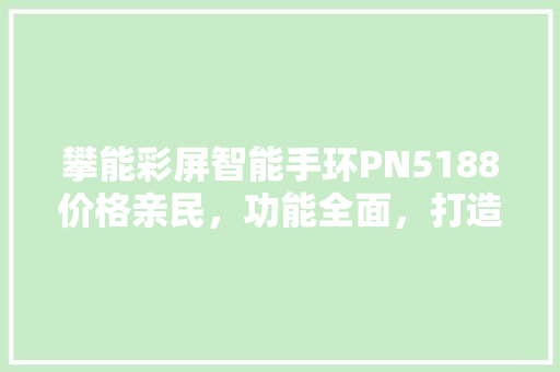 攀能彩屏智能手环PN5188价格亲民，功能全面，打造健康生活新体验