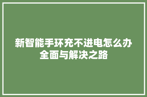 新智能手环充不进电怎么办全面与解决之路