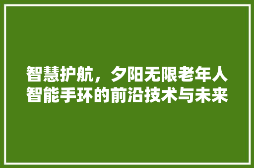 智慧护航，夕阳无限老年人智能手环的前沿技术与未来展望