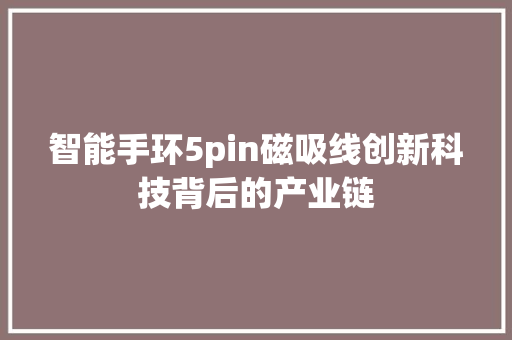 智能手环5pin磁吸线创新科技背后的产业链