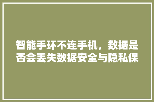 智能手环不连手机，数据是否会丢失数据安全与隐私保护