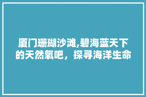 厦门珊瑚沙滩,碧海蓝天下的天然氧吧，探寻海洋生命的瑰宝