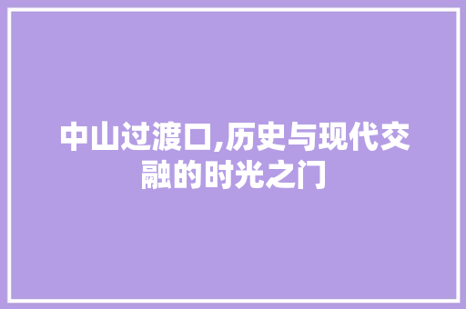 中山过渡口,历史与现代交融的时光之门