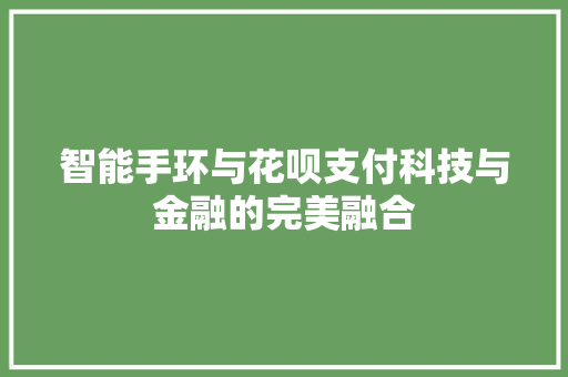 智能手环与花呗支付科技与金融的完美融合