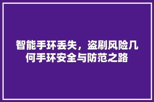 智能手环丢失，盗刷风险几何手环安全与防范之路