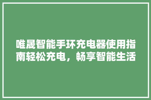 唯晟智能手环充电器使用指南轻松充电，畅享智能生活