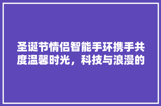圣诞节情侣智能手环携手共度温馨时光，科技与浪漫的完美融合