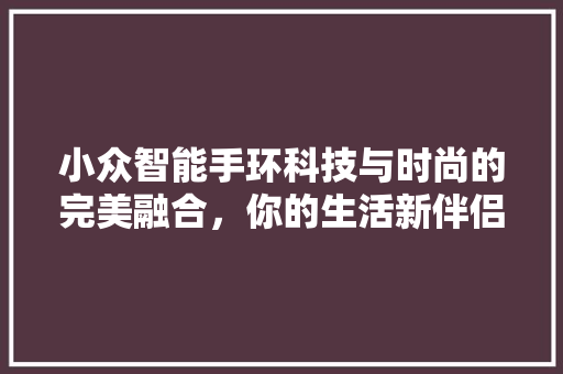 小众智能手环科技与时尚的完美融合，你的生活新伴侣