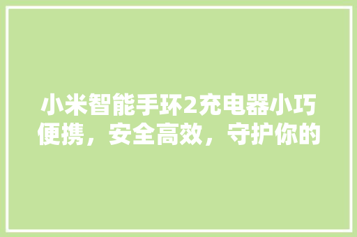 小米智能手环2充电器小巧便携，安全高效，守护你的健康生活