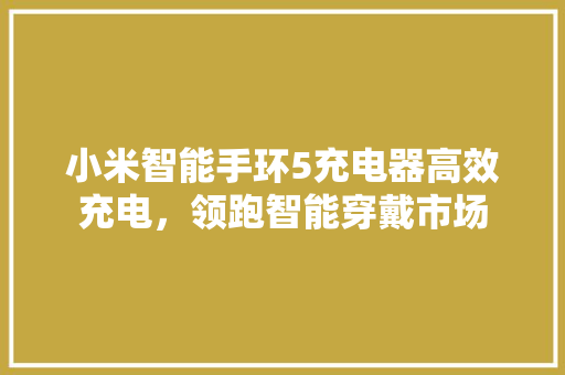 小米智能手环5充电器高效充电，领跑智能穿戴市场  第1张