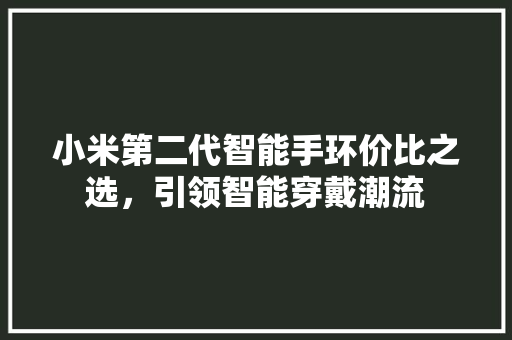 小米第二代智能手环价比之选，引领智能穿戴潮流