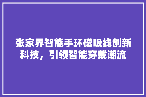 张家界智能手环磁吸线创新科技，引领智能穿戴潮流