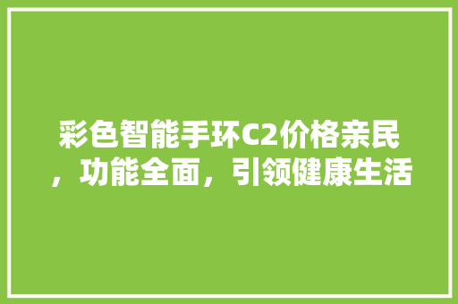 彩色智能手环C2价格亲民，功能全面，引领健康生活新潮流