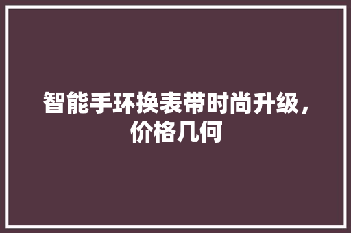 智能手环换表带时尚升级，价格几何
