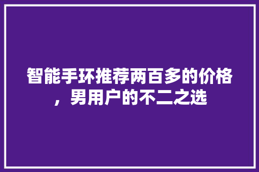 智能手环推荐两百多的价格，男用户的不二之选