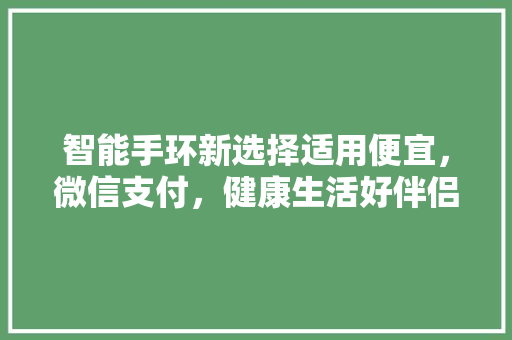 智能手环新选择适用便宜，微信支付，健康生活好伴侣  第1张