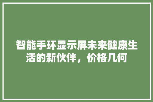 智能手环显示屏未来健康生活的新伙伴，价格几何