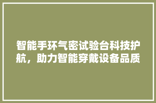 智能手环气密试验台科技护航，助力智能穿戴设备品质提升