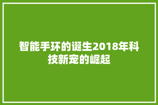 智能手环的诞生2018年科技新宠的崛起
