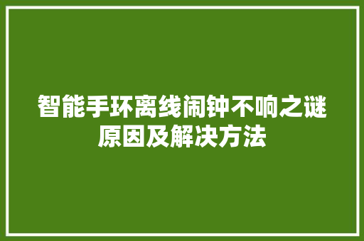 智能手环离线闹钟不响之谜原因及解决方法