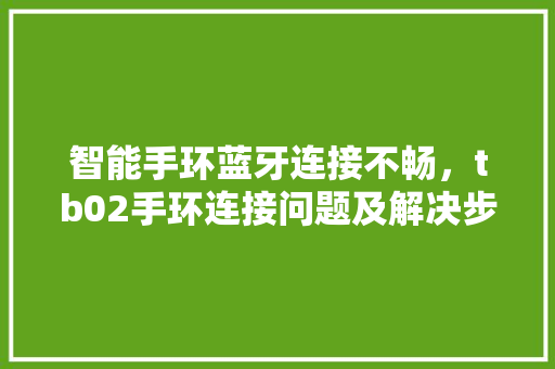 智能手环蓝牙连接不畅，tb02手环连接问题及解决步骤  第1张