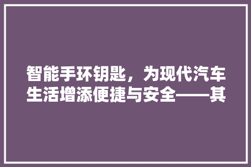 智能手环钥匙，为现代汽车生活增添便捷与安全——其价格及价值