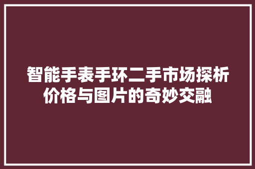 智能手表手环二手市场探析价格与图片的奇妙交融