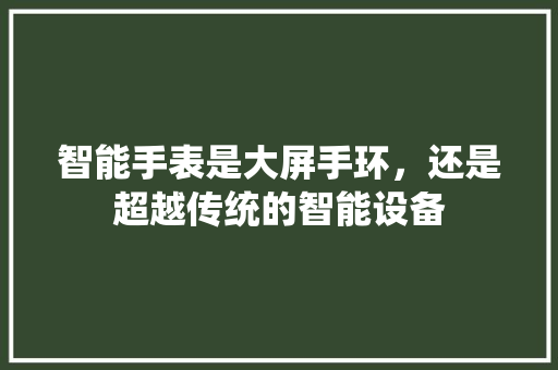 智能手表是大屏手环，还是超越传统的智能设备