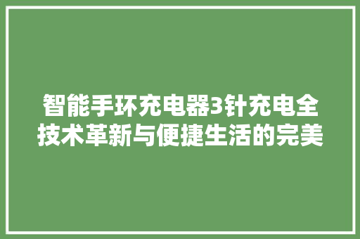智能手环充电器3针充电全技术革新与便捷生活的完美融合
