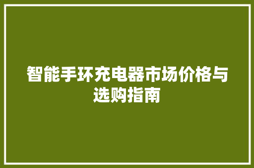 智能手环充电器市场价格与选购指南