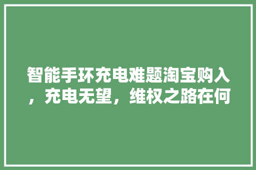 智能手环充电难题淘宝购入，充电无望，维权之路在何方  第1张