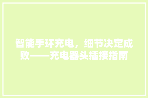 智能手环充电，细节决定成败——充电器头插接指南