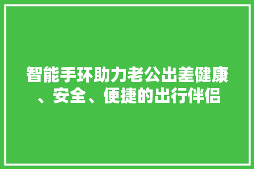 智能手环助力老公出差健康、安全、便捷的出行伴侣