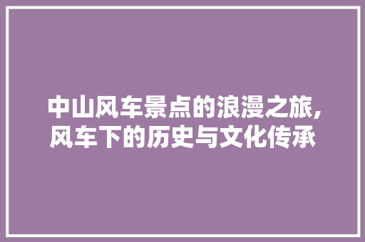 中山风车景点的浪漫之旅,风车下的历史与文化传承