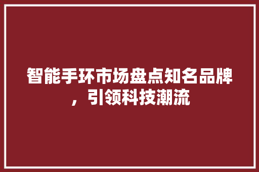 智能手环市场盘点知名品牌，引领科技潮流  第1张