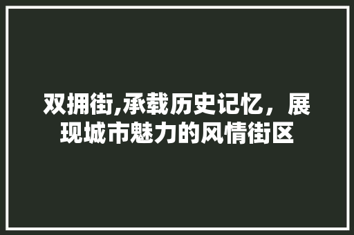 双拥街,承载历史记忆，展现城市魅力的风情街区  第1张