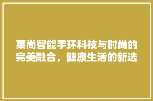 莱尚智能手环科技与时尚的完美融合，健康生活的新选择