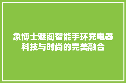 象博士魅阁智能手环充电器科技与时尚的完美融合
